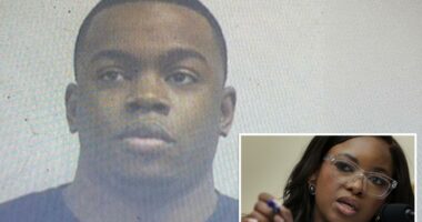 Rep. Jasmine Crockett insists she âfollowed all protocolsâ when hiring fugitive security guard